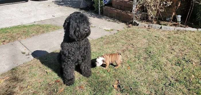 Best Friends Veterinary Clinic Picture 6