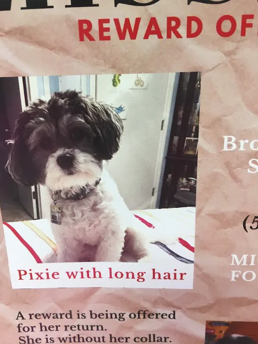 Best Friends Veterinary Clinic Picture 5