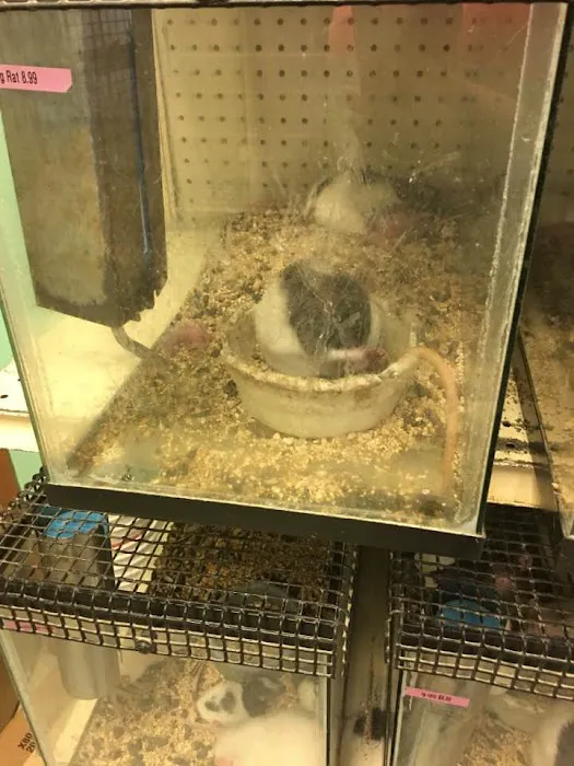 Bird Cage Pet Shop Picture 2