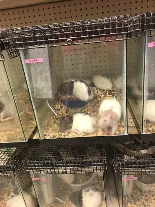 Bird Cage Pet Shop Picture 3