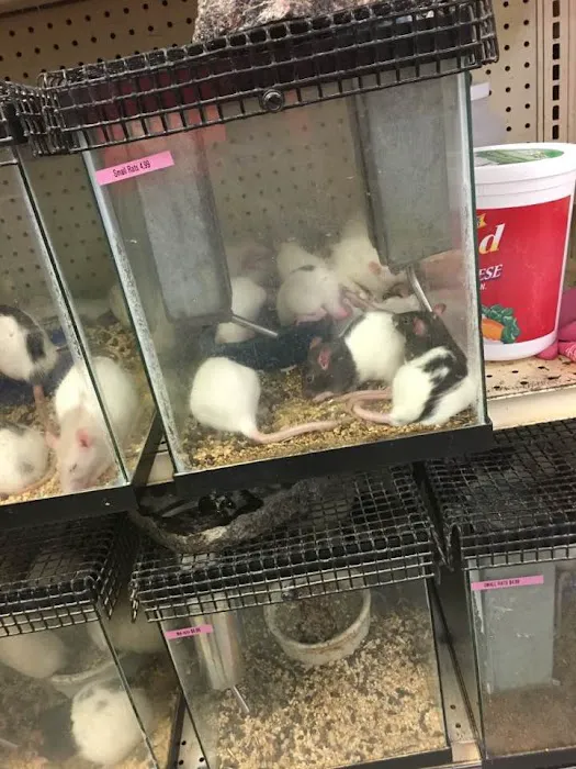 Bird Cage Pet Shop Picture 1