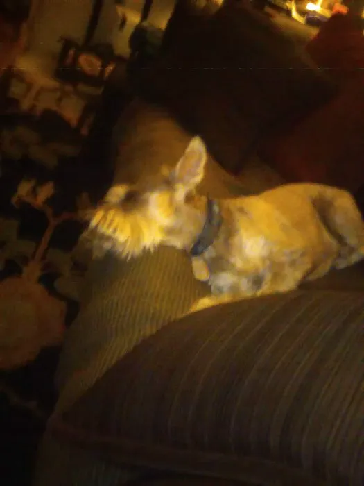 Van Horn Mary DVM Picture 1