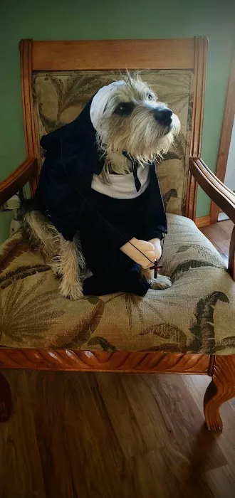 Humane Pet Services LLC Picture 3