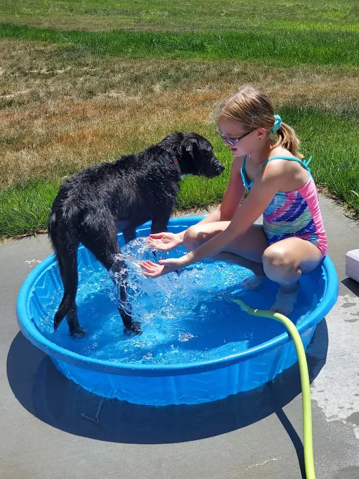 Humane Pet Services LLC Picture 1