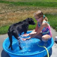 Humane Pet Services LLC ico