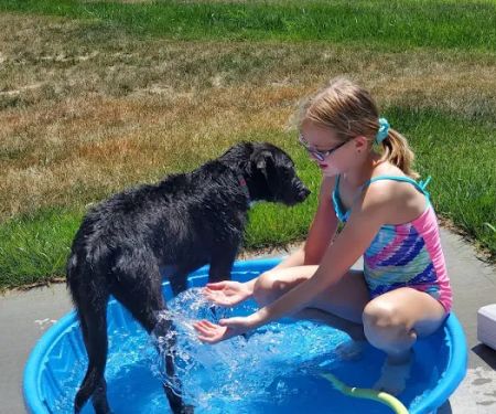 Humane Pet Services LLC
