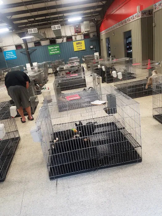 Tully's Kennels Picture 2