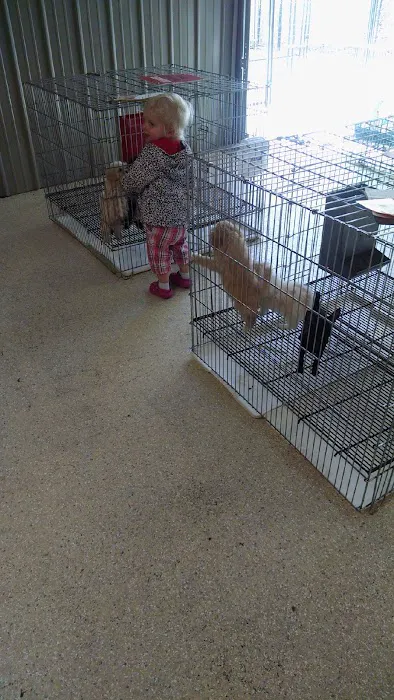 Tully's Kennels Picture 10