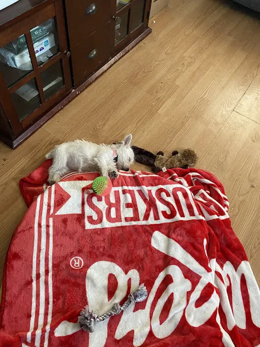 Tully's Kennels Picture 6