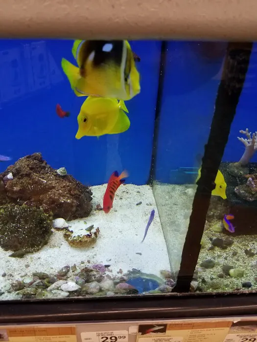 Petco Picture 1