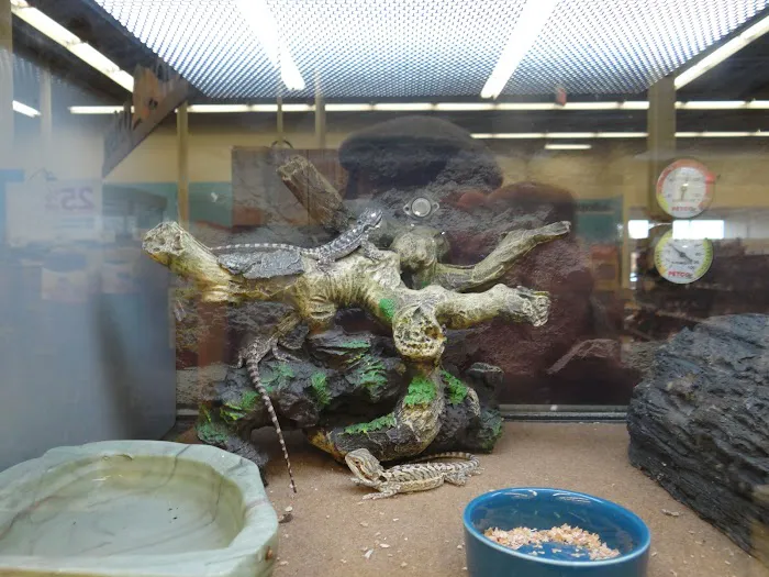 Petco Picture 4