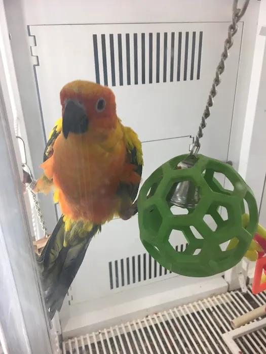 Petco Picture 9