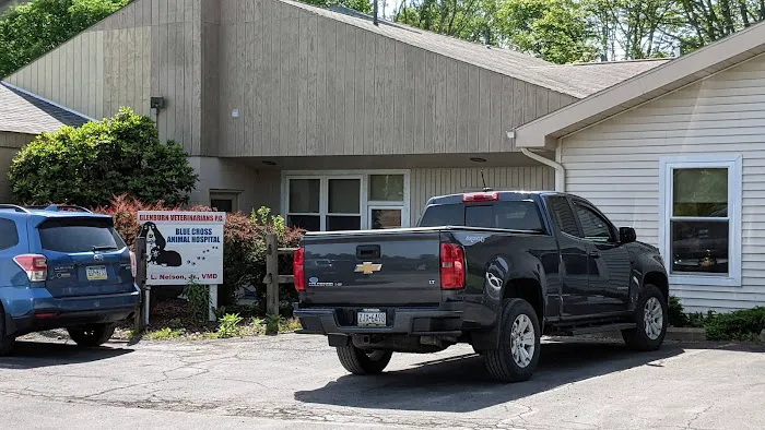 Glenburn Veterinarians, P.C. Picture 5