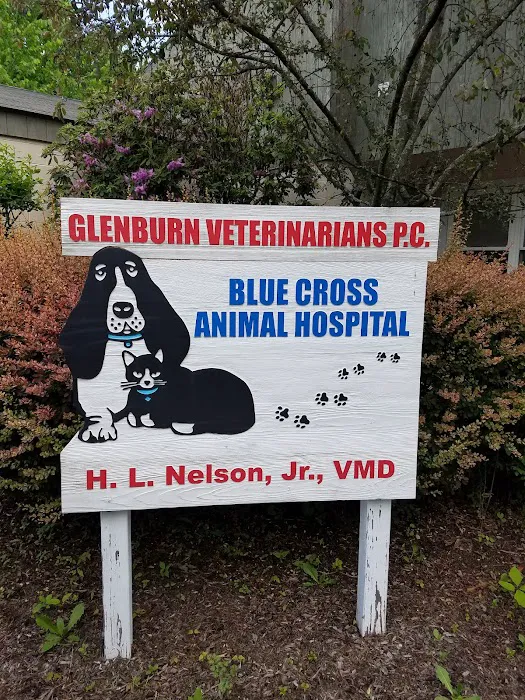 Glenburn Veterinarians, P.C. Picture 6