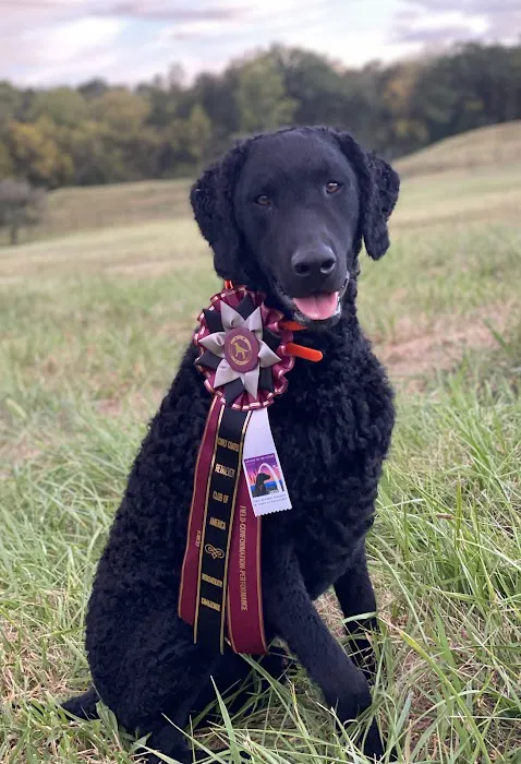 Horsfield and Associates Veterinary Hospital Picture 3