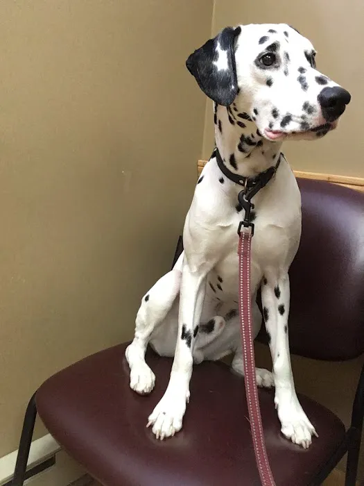 Horsfield and Associates Veterinary Hospital Picture 2