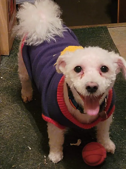 Horsfield and Associates Veterinary Hospital Picture 4