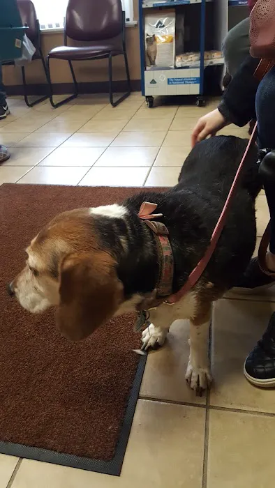 Horsfield and Associates Veterinary Hospital Picture 7