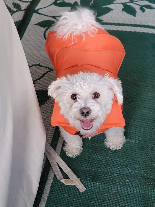 Horsfield and Associates Veterinary Hospital Picture 9