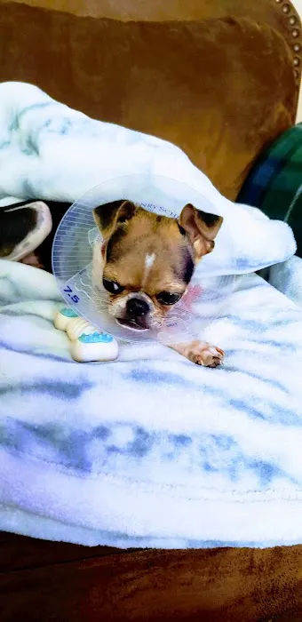 Horsfield and Associates Veterinary Hospital Picture 8