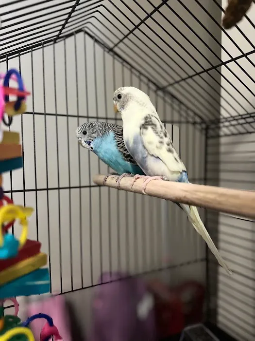 Petco Picture 3