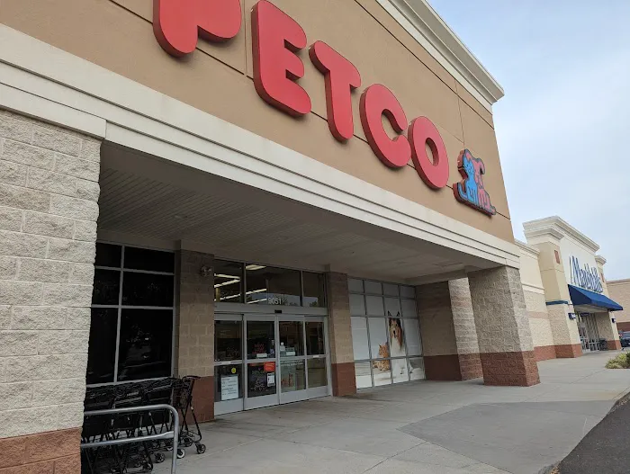 Petco Picture 8