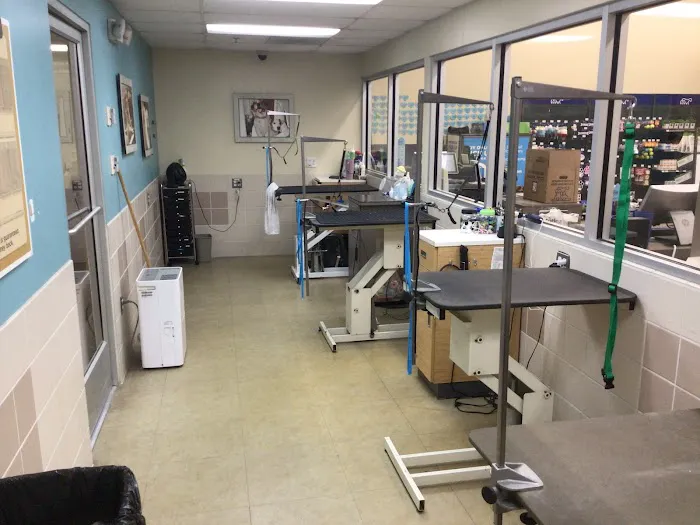 Petco Picture 10