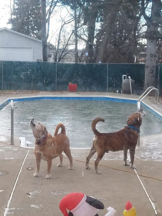 Old Forge Animal Hospital Picture 2