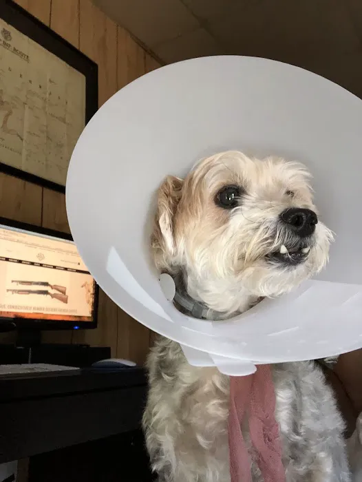 Old Forge Animal Hospital Picture 3