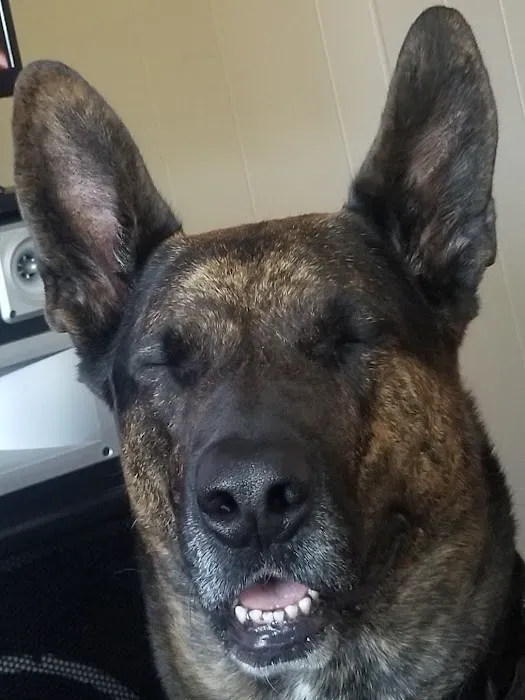 Old Forge Animal Hospital Picture 8