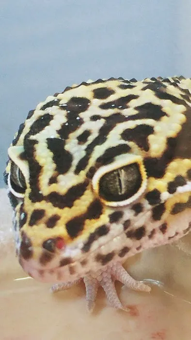 Petco Picture 3