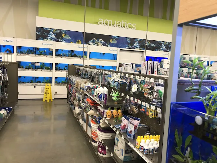 Petco Picture 1