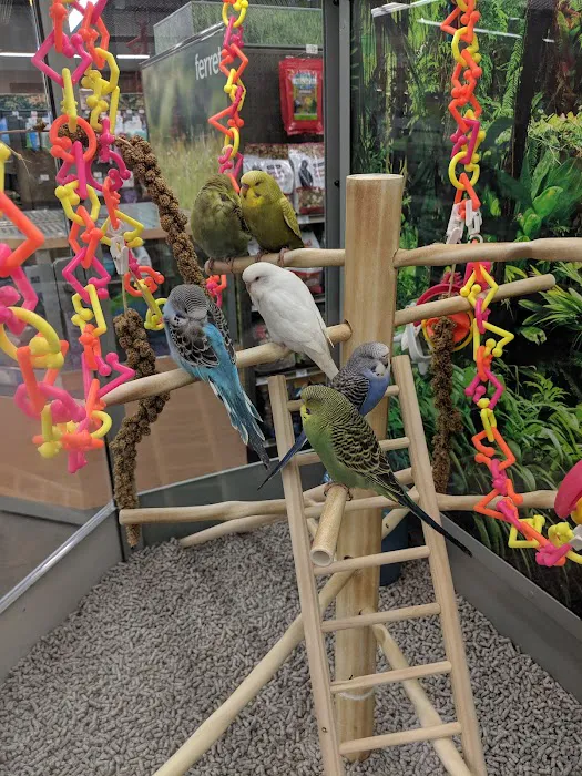 Petco Picture 10