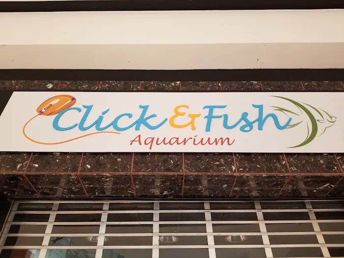 Click & Fish Aquatics Picture 1