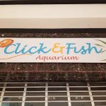 Click & Fish Aquatics
