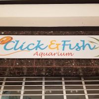 Click & Fish Aquatics ico