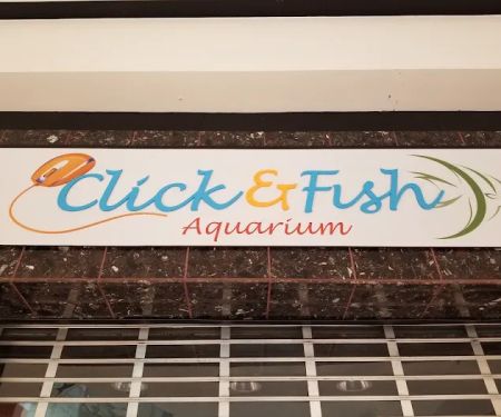 Click & Fish Aquatics