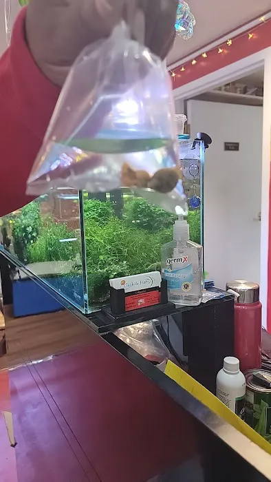 Click & Fish Aquatics Picture 2