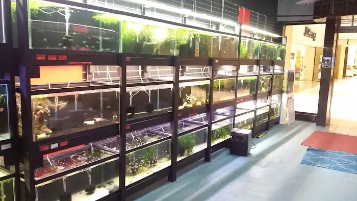 Click & Fish Aquatics Picture 6