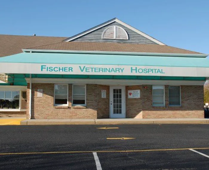 VCA Fischer Animal Hospital Picture 3