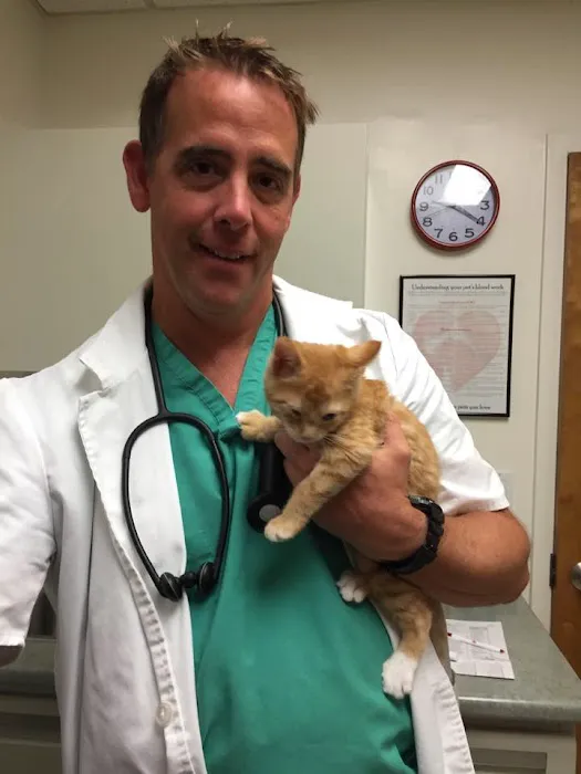 VCA Fischer Animal Hospital Picture 2