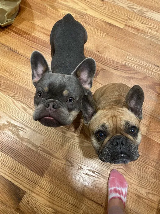 VCA Fischer Animal Hospital Picture 7