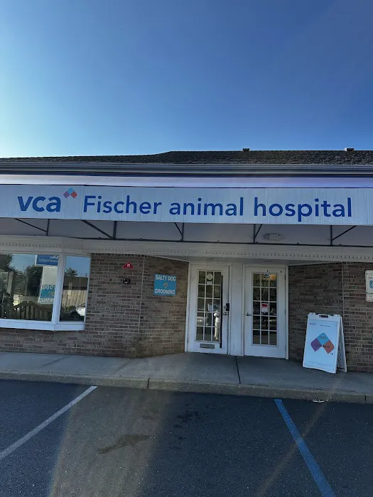 VCA Fischer Animal Hospital Picture 10