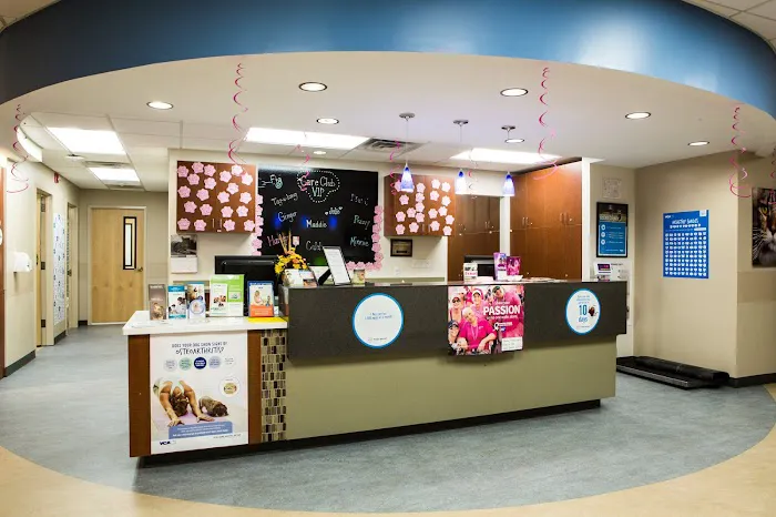 Bayview Animal Hospital Picture 2