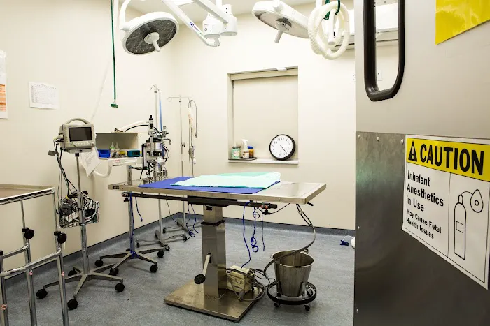 Bayview Animal Hospital Picture 1