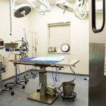 Bayview Animal Hospital