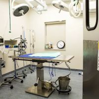 Bayview Animal Hospital ico