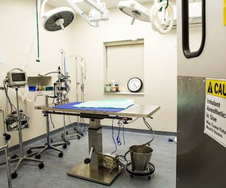 Bayview Animal Hospital