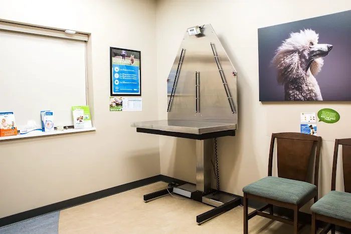 Bayview Animal Hospital Picture 3