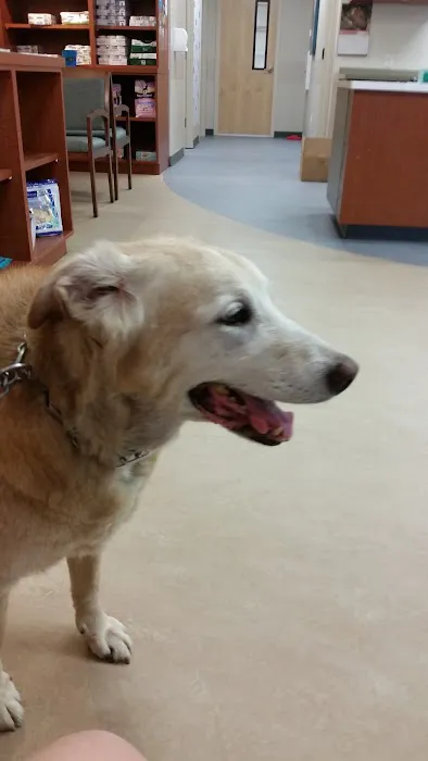 Bayview Animal Hospital Picture 8